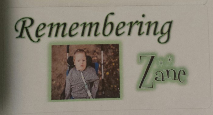 wp-1457495212034 image